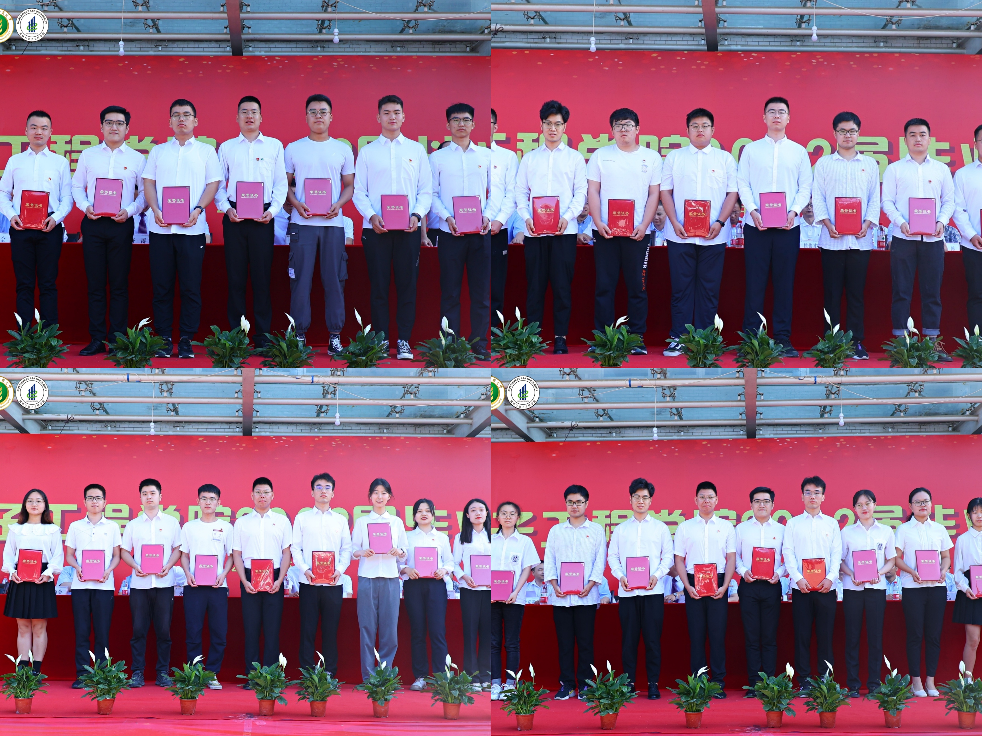 09cafd1901214690b89a1e173a87c108.jpg 09cafd1901214690b89a1e173a87c108.jpg